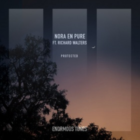 NORA EN PURE FEAT. RICHARD WALTERS - PROTECTED